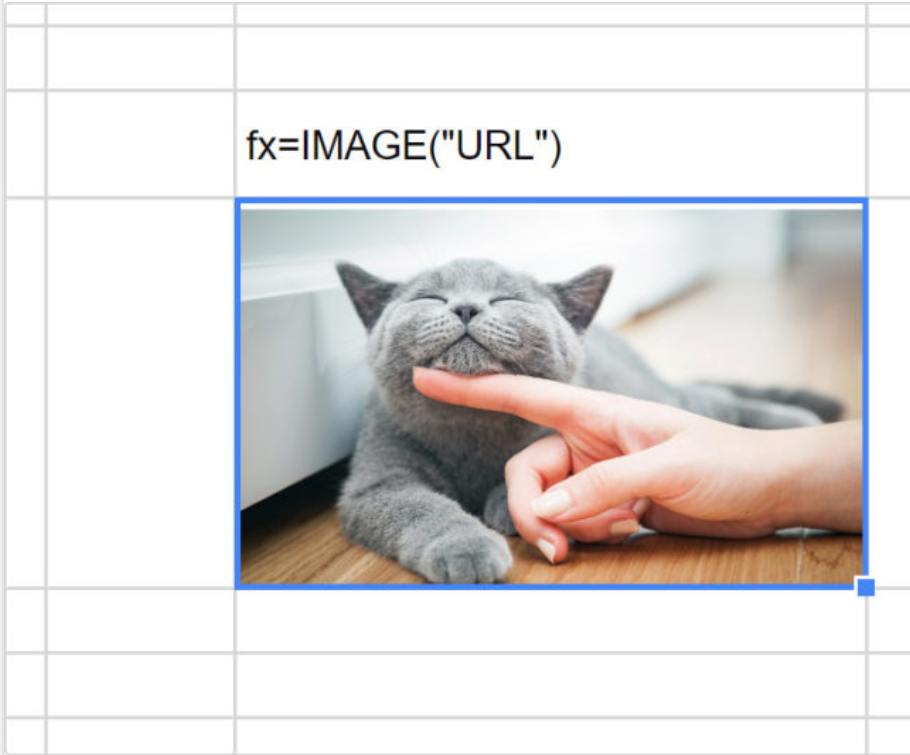 pictures in google sheets