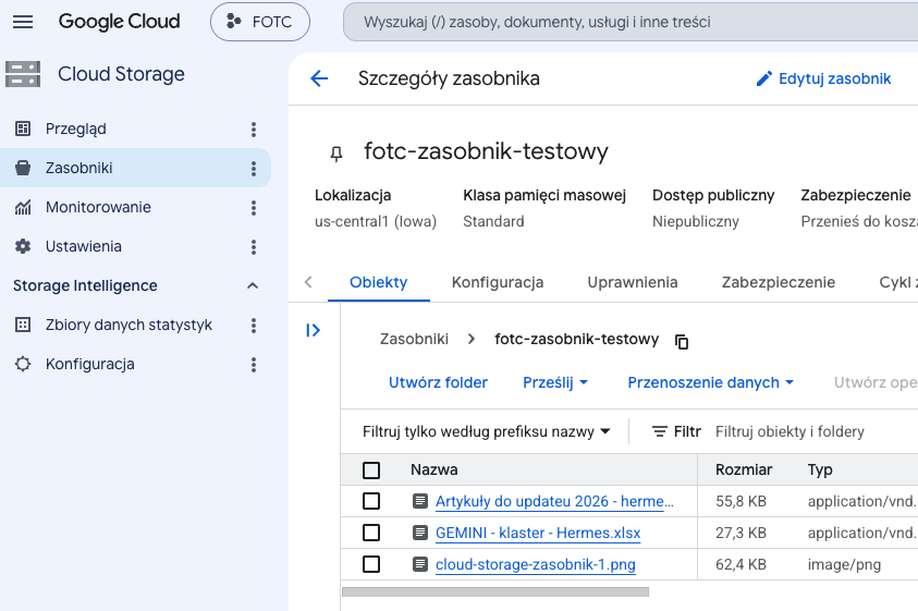 Utworzony zasobnik w Cloud Storage, a w środku dodane kilka plików.
